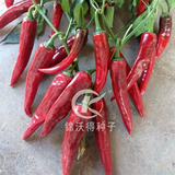 KW神州红