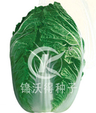 CR惠春
