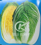 CR秀春