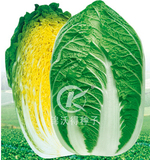 KW旺春