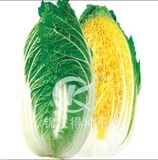 锦夏黄