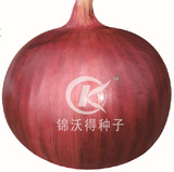 红海