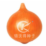 泉州中甲高