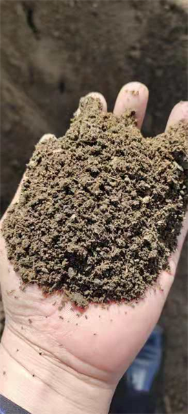 江西赣州柑橘用发酵羊粪 萍乡羊粪
