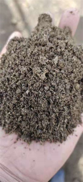 有机肥厂家批发发酵羊粪 颗粒羊粪