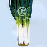 锦沃晚抽F1