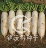  锦沃307