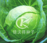 锦美