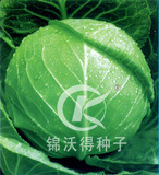 锦美56