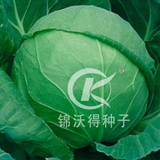 锦美60