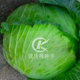 锦沃寒秀