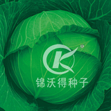  雅典娜
