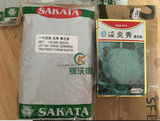 炎秀
