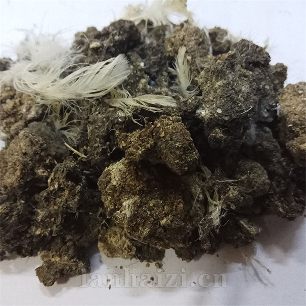 甘肃鸡粪厂家批发兰州晒干鸡粪