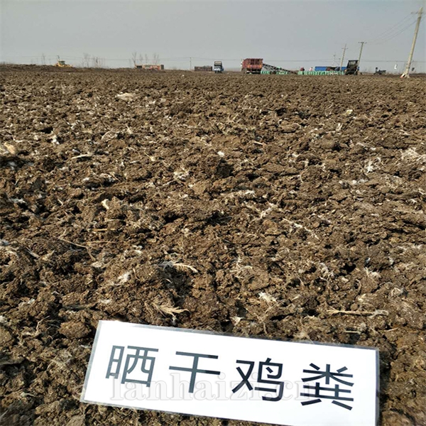 天水晒干鸡粪厂家批发白银鸡粪