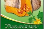 吉冠773南瓜