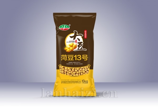 荷豆13