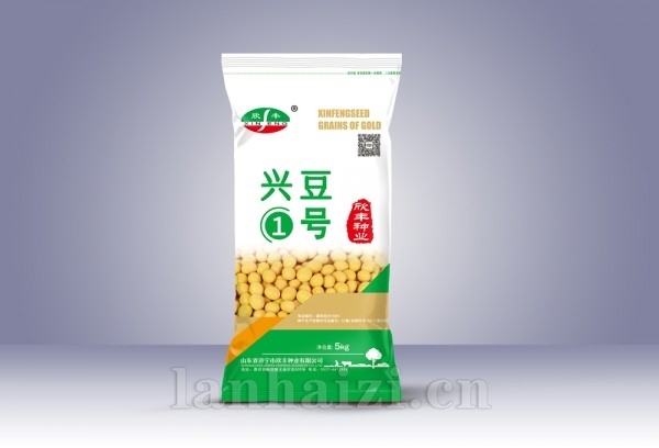 兴豆
