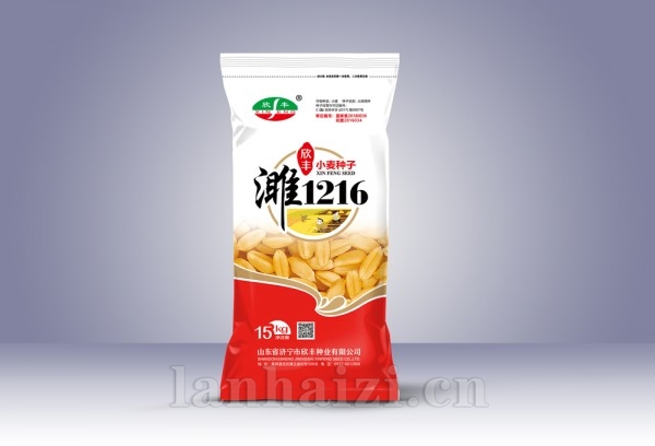  濉1216小麦种子