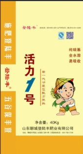 活力1号