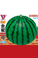 金蜜一号