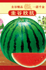 圭谷欣抗