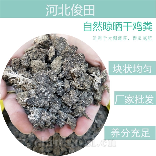 山西鸡粪厂家批发阳泉晒干鸡粪长治鸡粪块