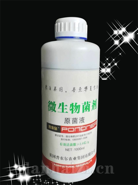 微生物菌剂原液