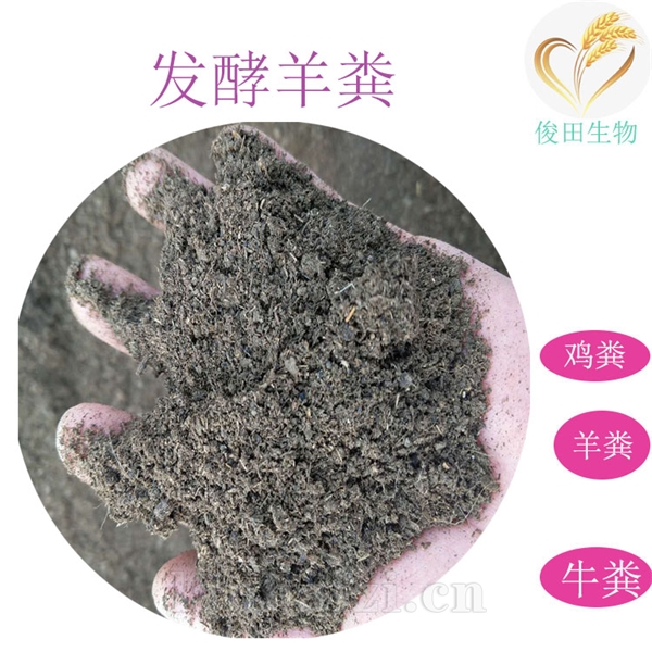 河南羊粪厂家批发郑州发酵羊粪开封有机肥