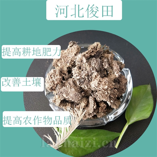晒干鸡粪厂家批发蔬菜果树用干鸡粪块 发酵鸡粪