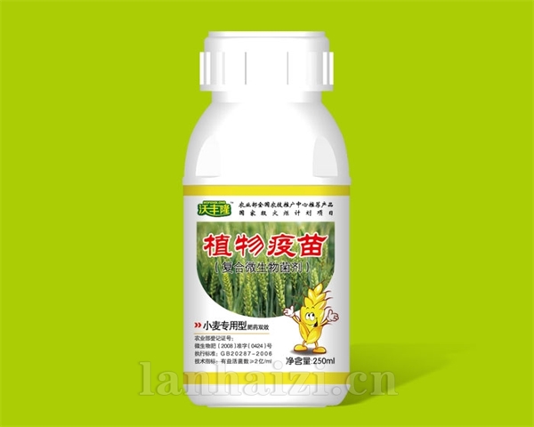 小麦专用型