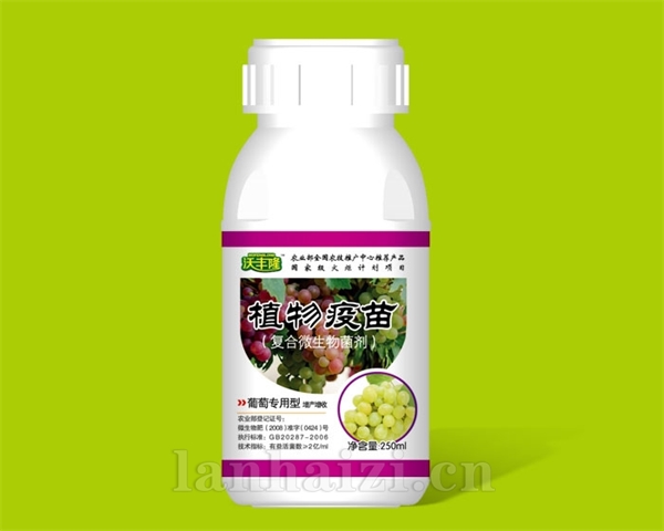 葡萄专用型