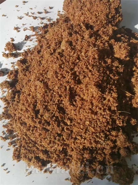肉粉