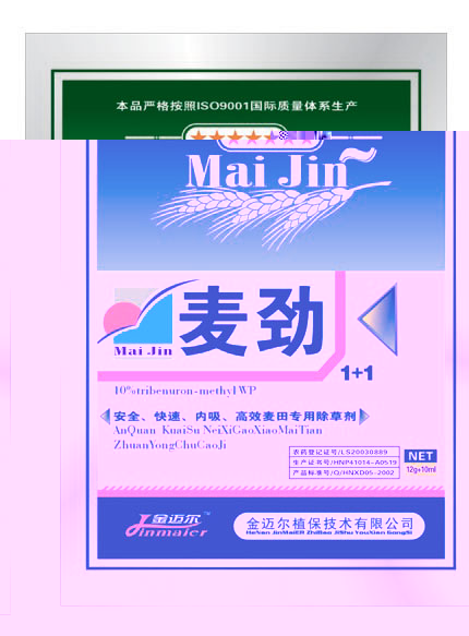 麦劲 