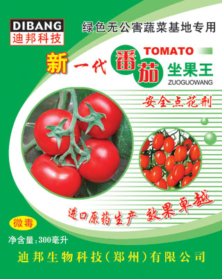 新一代番茄座果王 