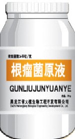 根瘤菌原液 