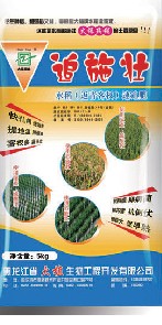 追施壮 
