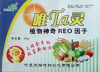 唯TA灵 