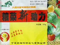 粮菜新动力 