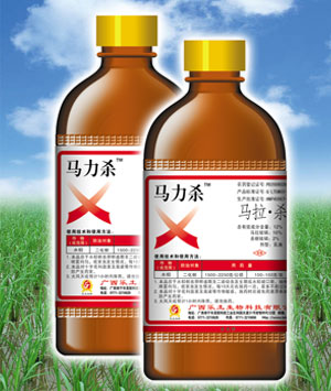 马力杀——水稻螟虫 