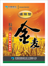 苯磺隆—科赛金麦（速效型）—猪殃殃(色老殃)、泽漆、麦家公、婆婆纳、播娘蒿 