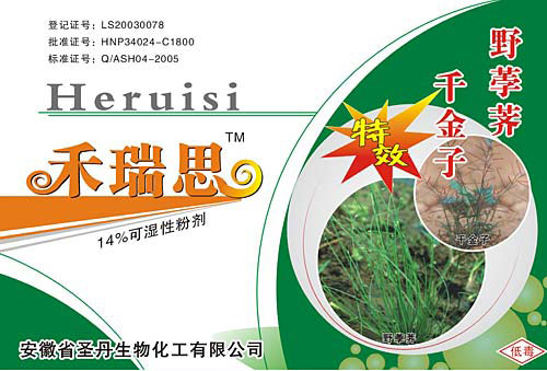 禾瑞思(野荸荠.千金子)-水稻田中野荸荠、千金子、水莎草、三棱草 