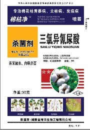 36%三氯异氰尿酸—强氯精—白叶枯病　纹枯病　细菌性条斑病　稻瘟病 