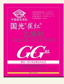 国光崔红 