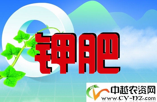 求购钾肥 