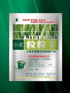 粒粒丰 