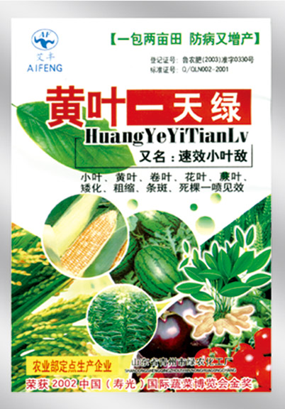 黄叶一天绿 