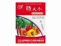 辣大个 