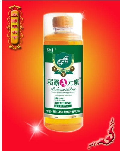 稻霸A元素 