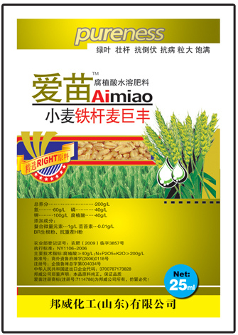 小麦铁杆麦世丰 